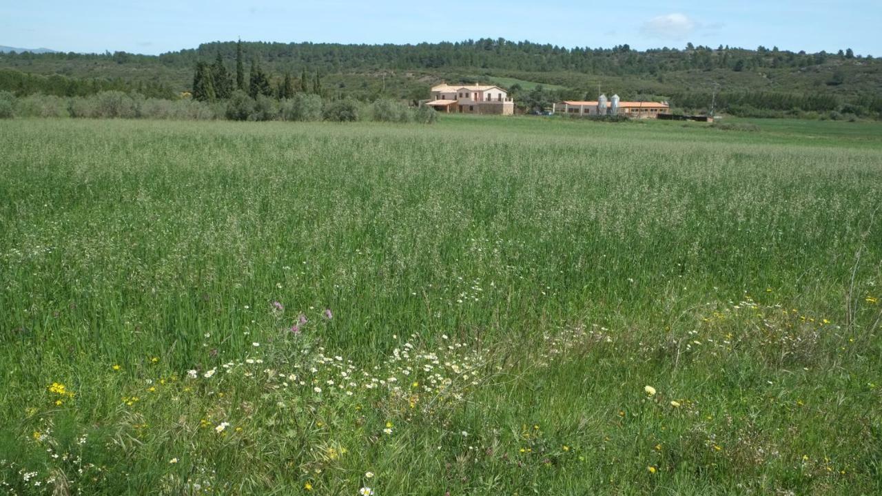 La Masia De Montpedros Peralada Bagian luar foto